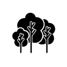 47 north foods single source real pure organic grade a amber very dark maple syrup sugar