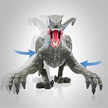 Raptor toys