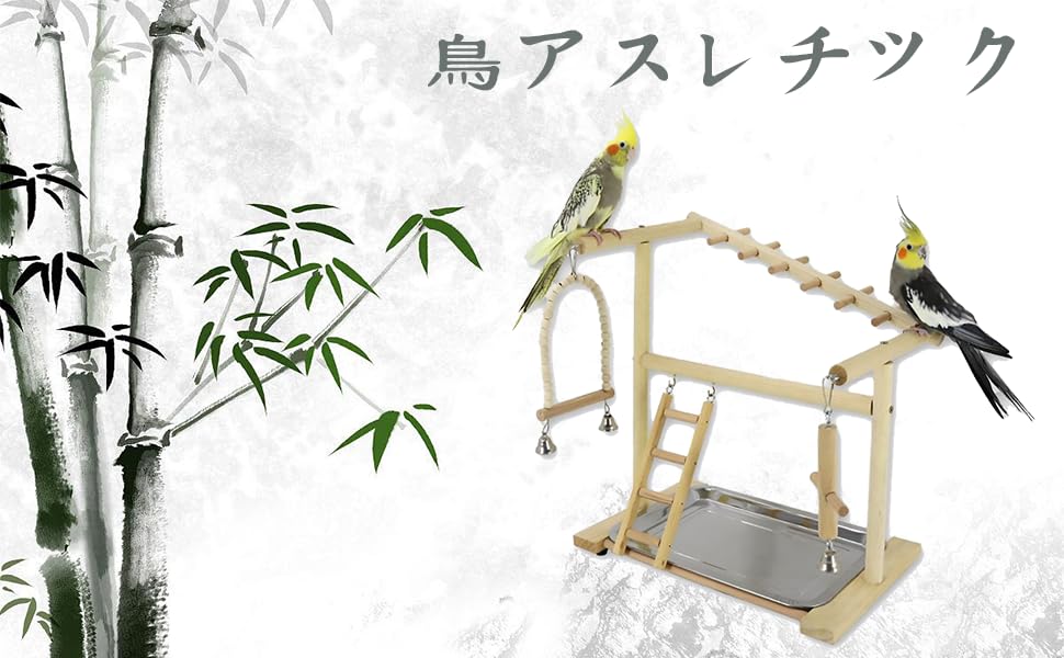 Amazon | インコ 遊び場 止まり木 二層設計 バードアスレチック