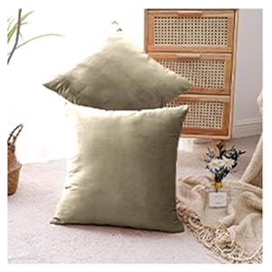 velvet cushion cover