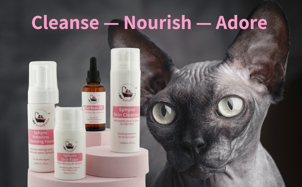 A BLACK SPHYNC CAT LOOKS INTO CAMERA MR WRINKLES SPHYNX SKINCARE PRODUCTS IMAGE IN FOREGROUND