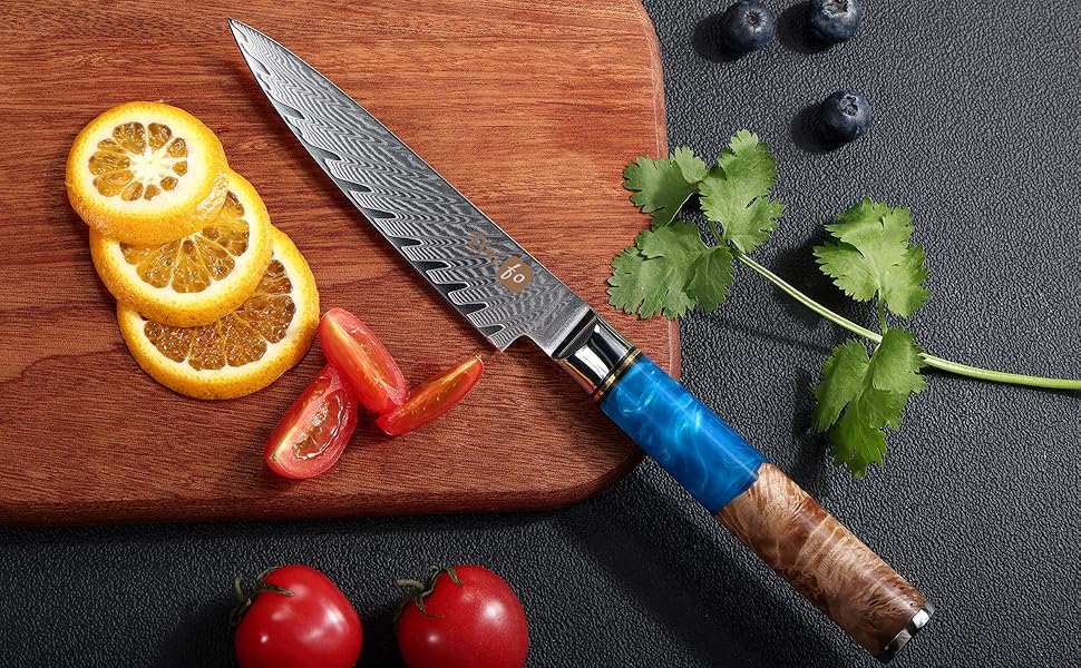 Dnifo Kitchen Utility Knife 5 Inch, Damascus Steel Kitchen