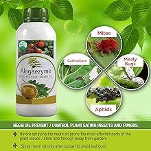 PREVENT / CONTROL PLANT EATING INSECTS / MITES