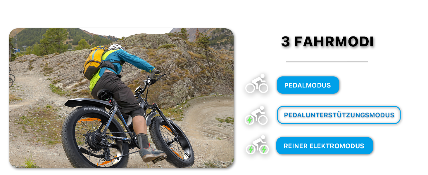 ebike