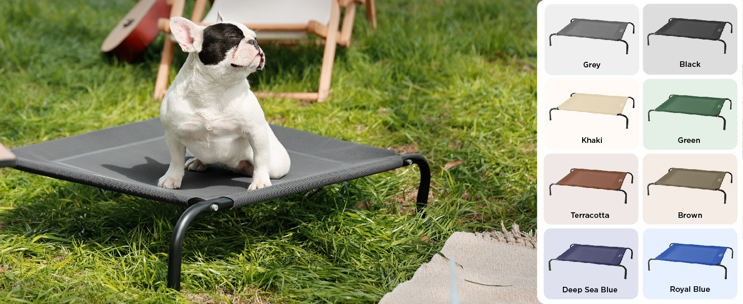 raised dog bed
