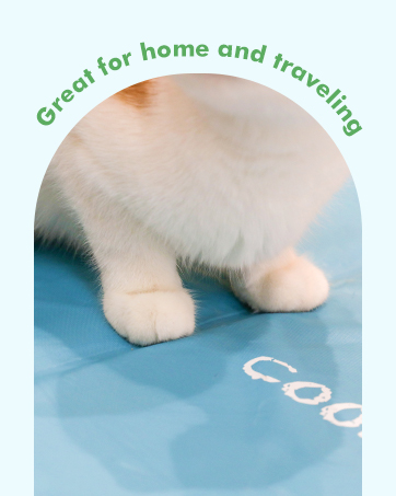 dog cooling mats