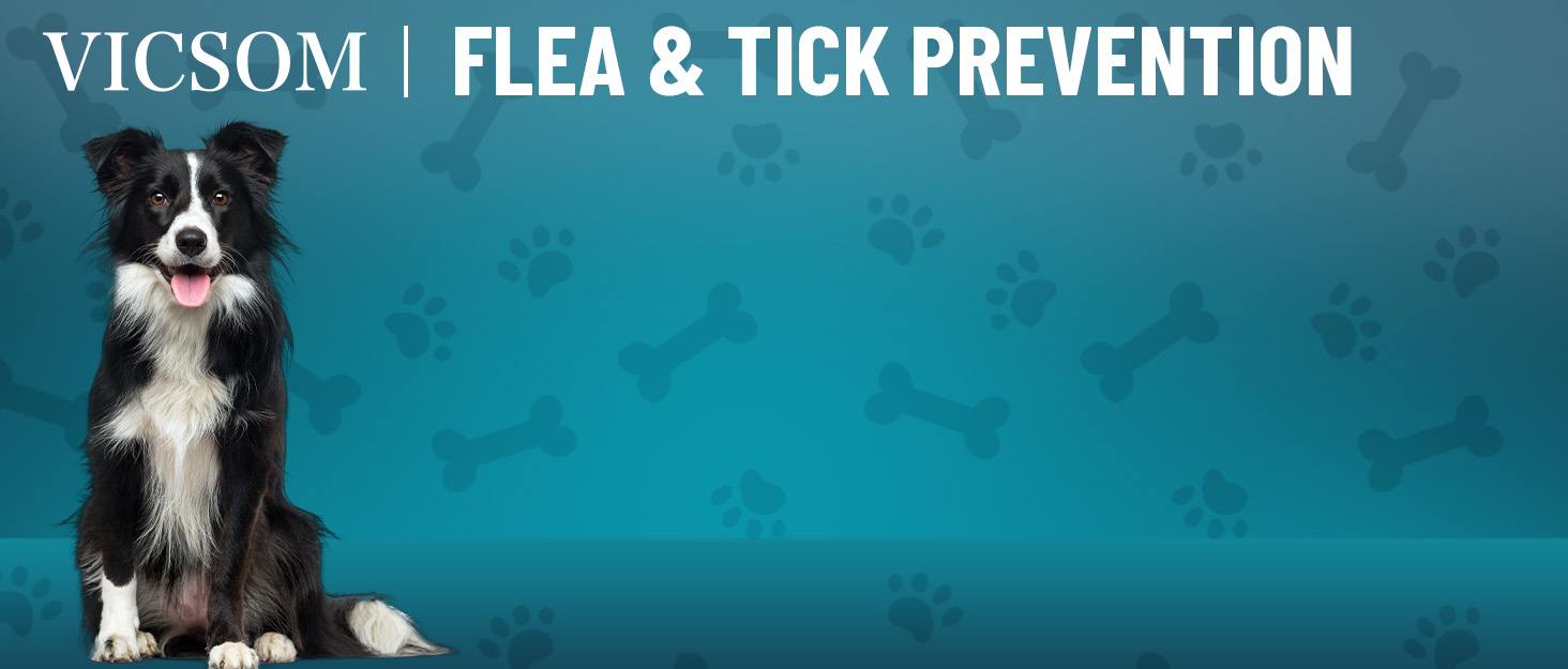 flea tick prevention for dogs