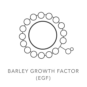 Growth Factor Icon