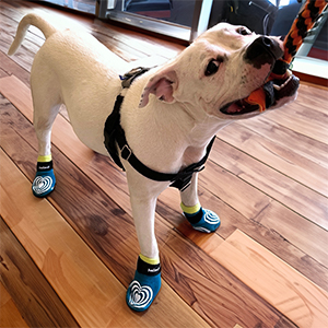 GREAT FOR MEDICAL USE