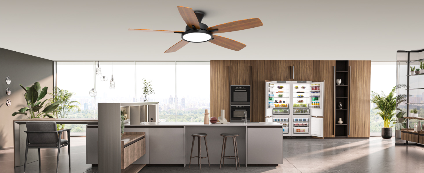 kitchen ceiling fan with lights