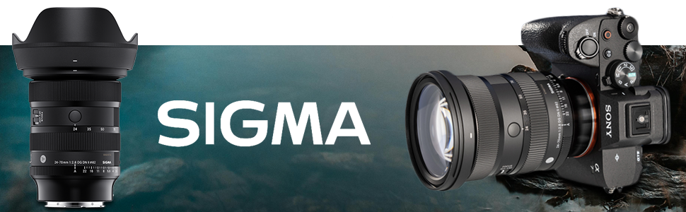 SIGMA 24-70mm F2.8 DG DN II ソニーE 71OTOcP57WL._UF350,350_QL50_.jpg