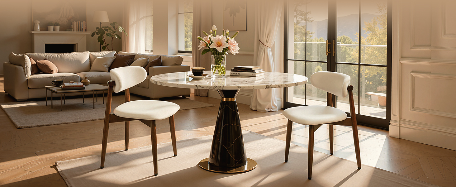 Modern dining chairs in living room