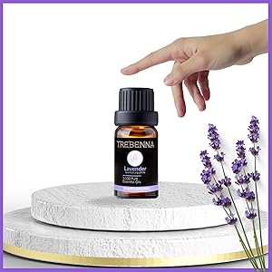 Relax and Unwind with Natural Lavender Oil 