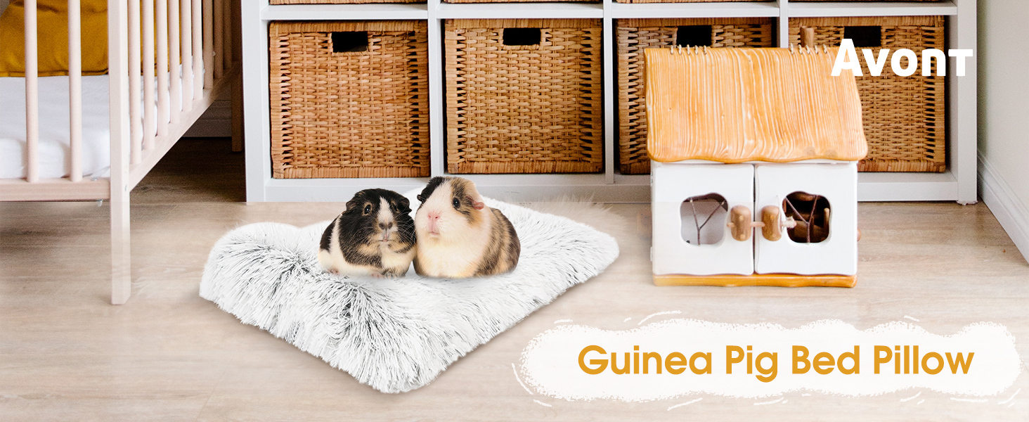 Guinea Pig Bed Mat with Pillow