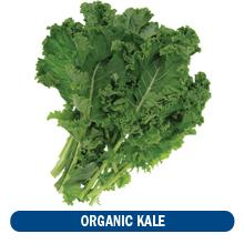 Protein & Greens