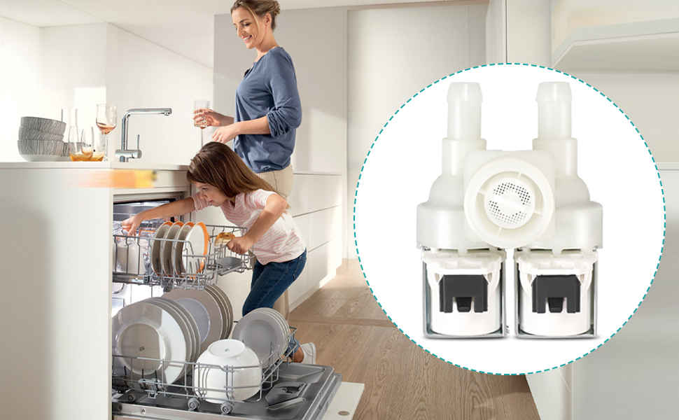 529730 Valve Inlet Double 605 Valve Compatible With Fisher