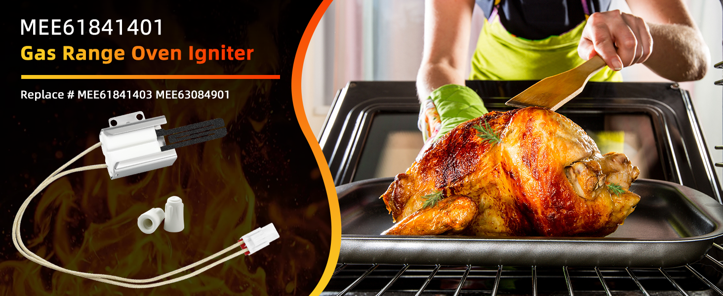 Gas Range/Oven Igniter MEE61841401 with Connector Plug Fit