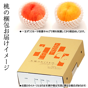 Amazon.co.jp: 山形県産 桃 白桃 2kg (共撰 秀品/無袋栽培/硬め