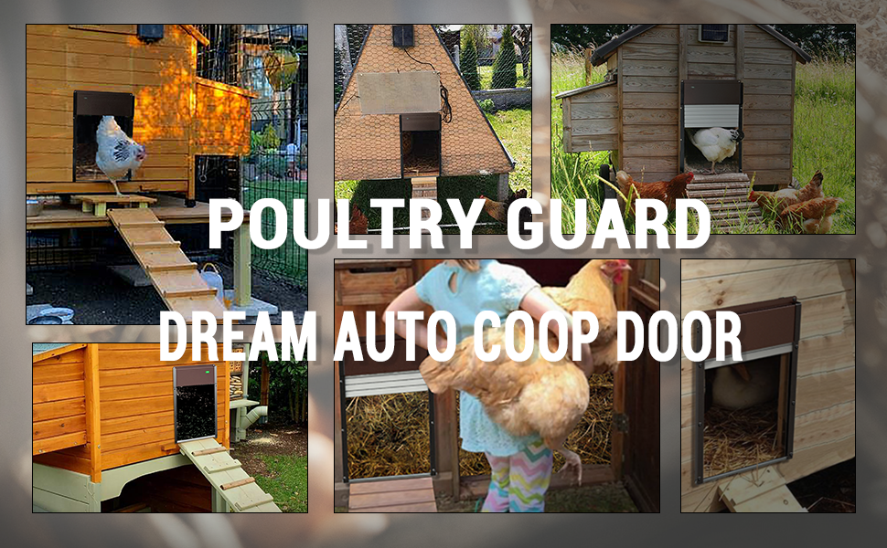 AutomaticChickenCoopDoorSolar Powered Opener with
