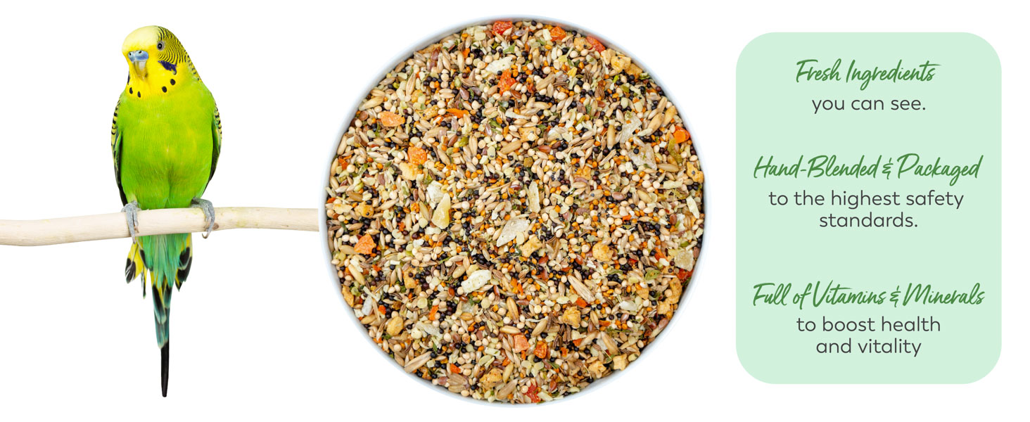 parakeet food bird food nutrition natural ingredients perico comida natural semillas diet seeds