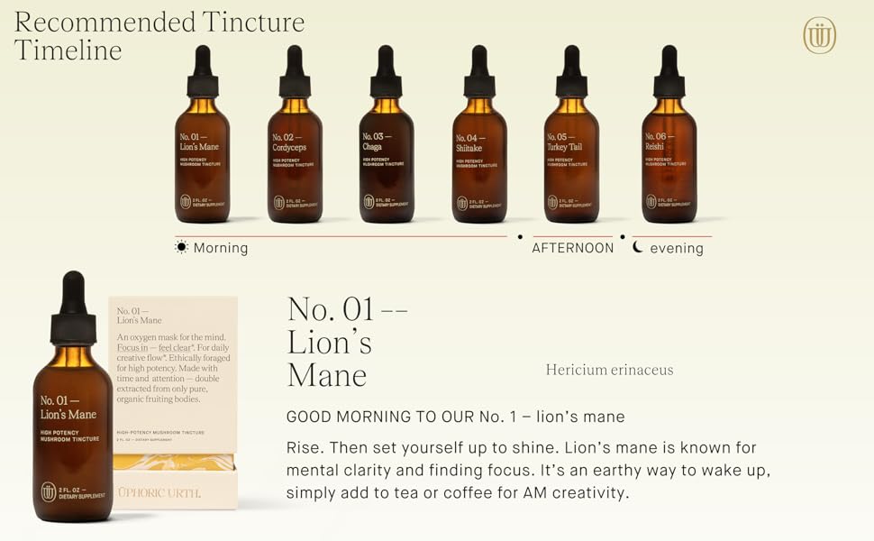 medicinal mushroom, mushroom extract, mushroom tincture, holistic tincture, lions mane