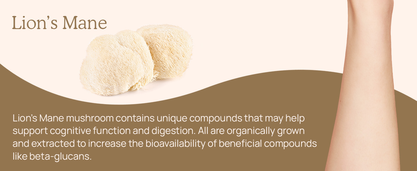 Real Mushrooms Lion’s Mane Mushroom Extract Supplement for Cognitive Function &amp; Immune Support