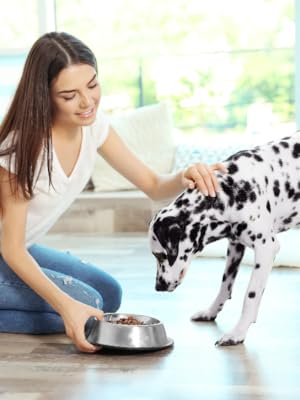 Non-tip Stainless Steel Dog Bowl - Medium