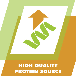 high quality protein