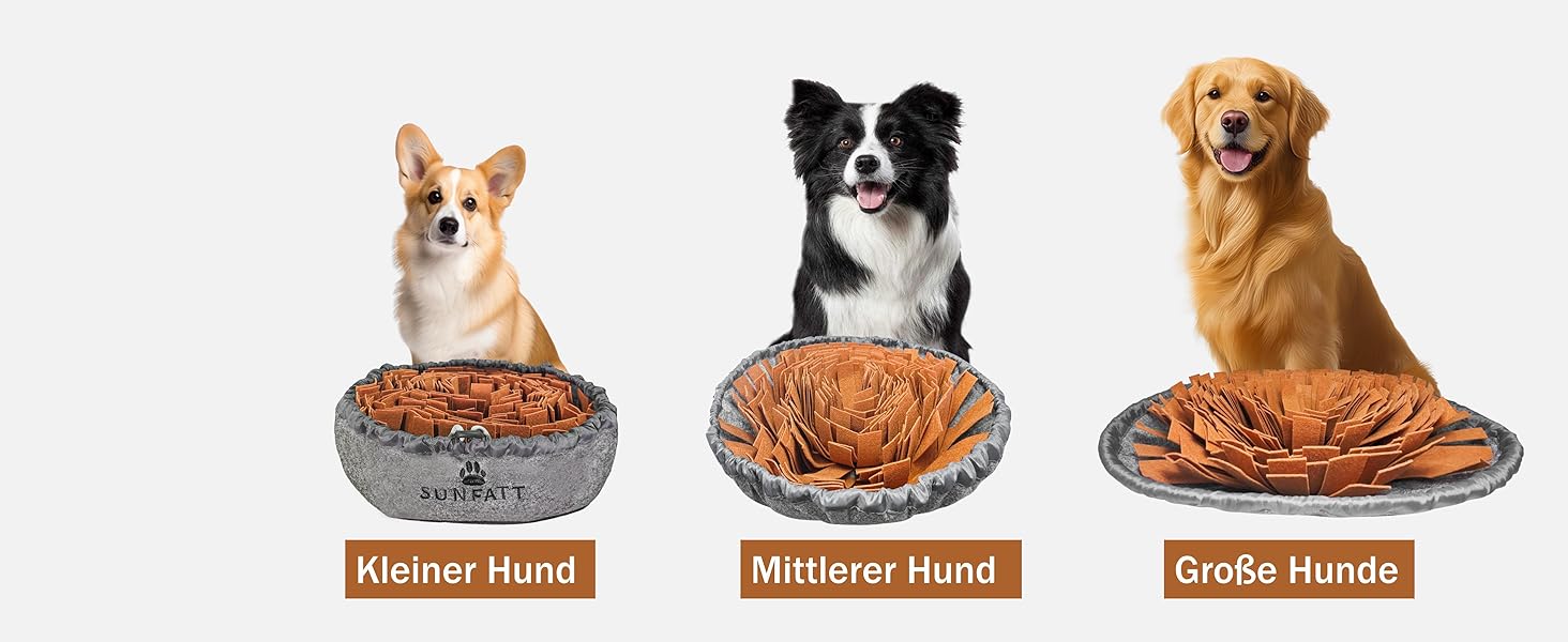 snuffle ball for dogs