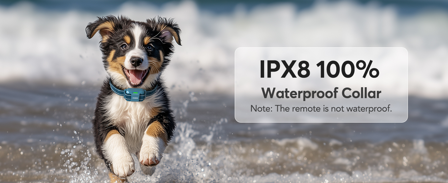 Jugbow Dog Shock Collar 4200FT Dog Training Collar with Remote, IPX8 Waterproof E