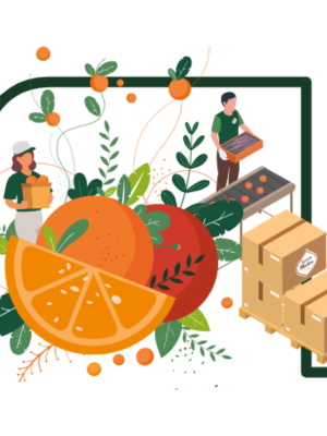 Obra digital ilustrada con grandes frutas cítricas de color naranja, plantas verdes y figuras estilizadas con cajas de entrega en un estilo moderno de diseño plano.