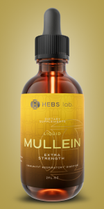 mullein herb extract mullein leaf mullein root 