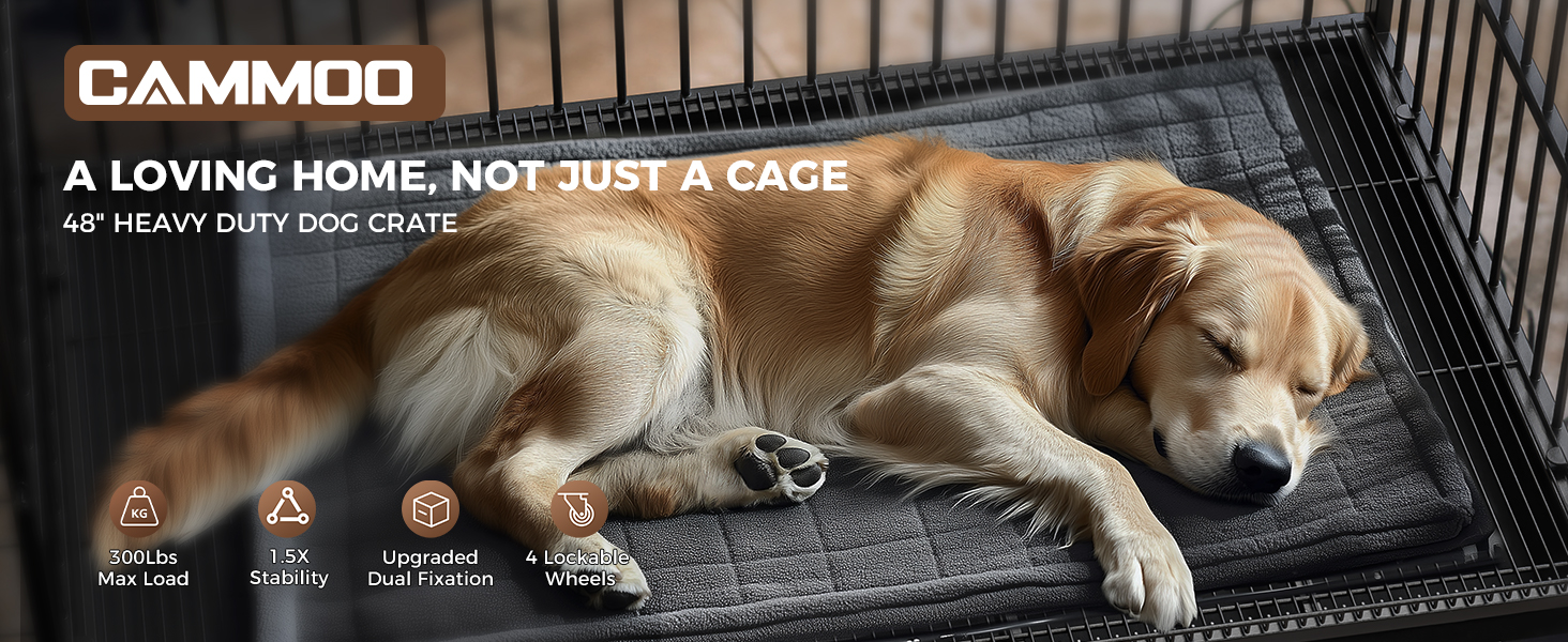 dog crate