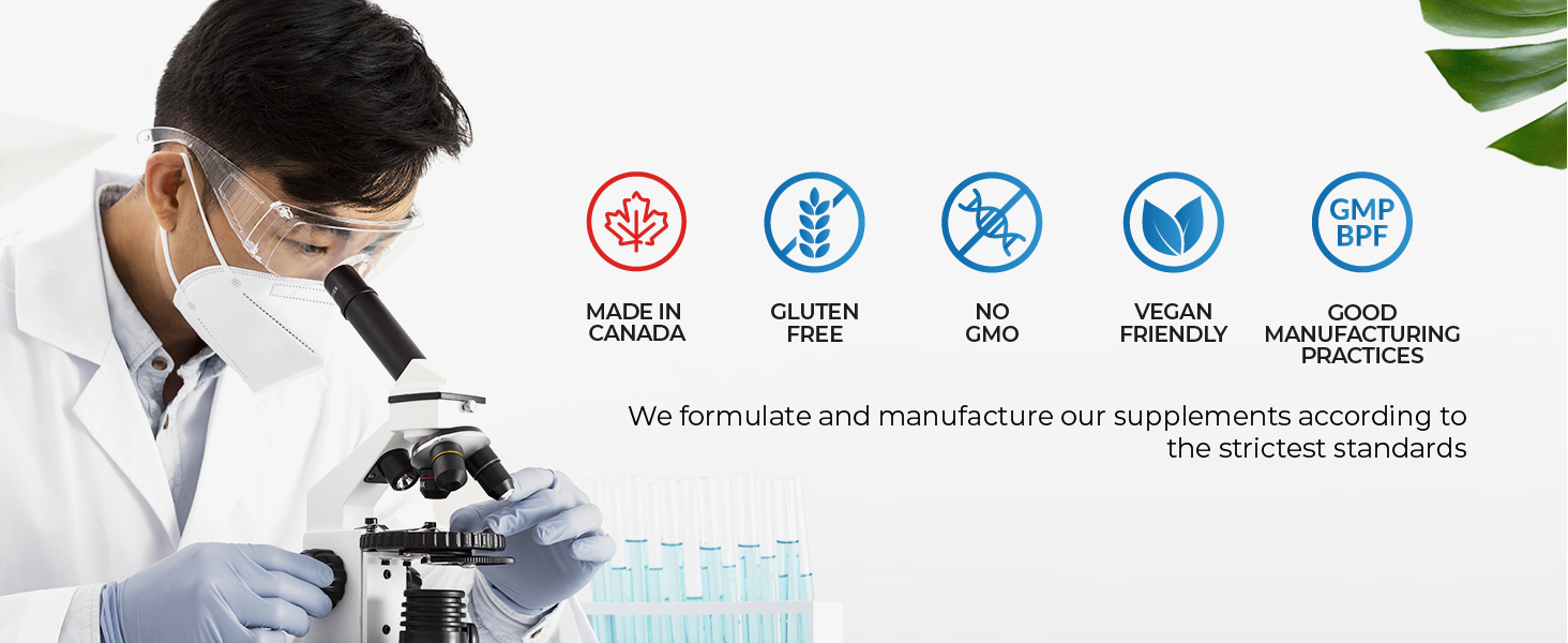 ginger capsules organic ginger powder turmeric with black pepper curcuma supplements turmeric ginger