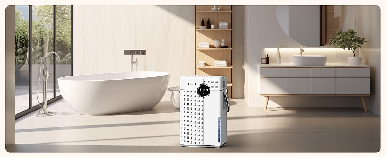 bathroom dehumidifier