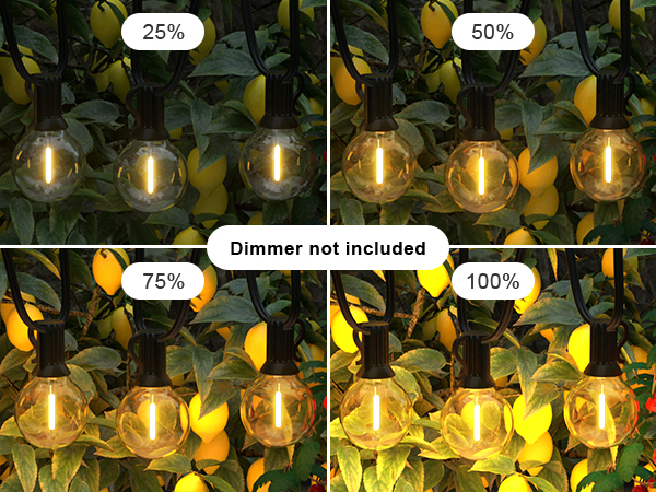 string lights dimmable
