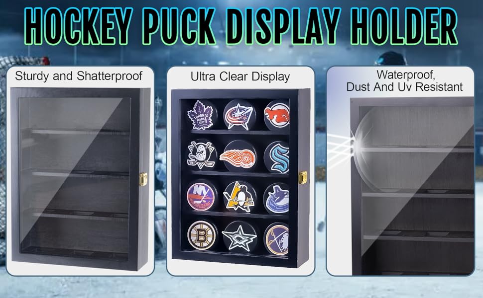 Puck Display Case