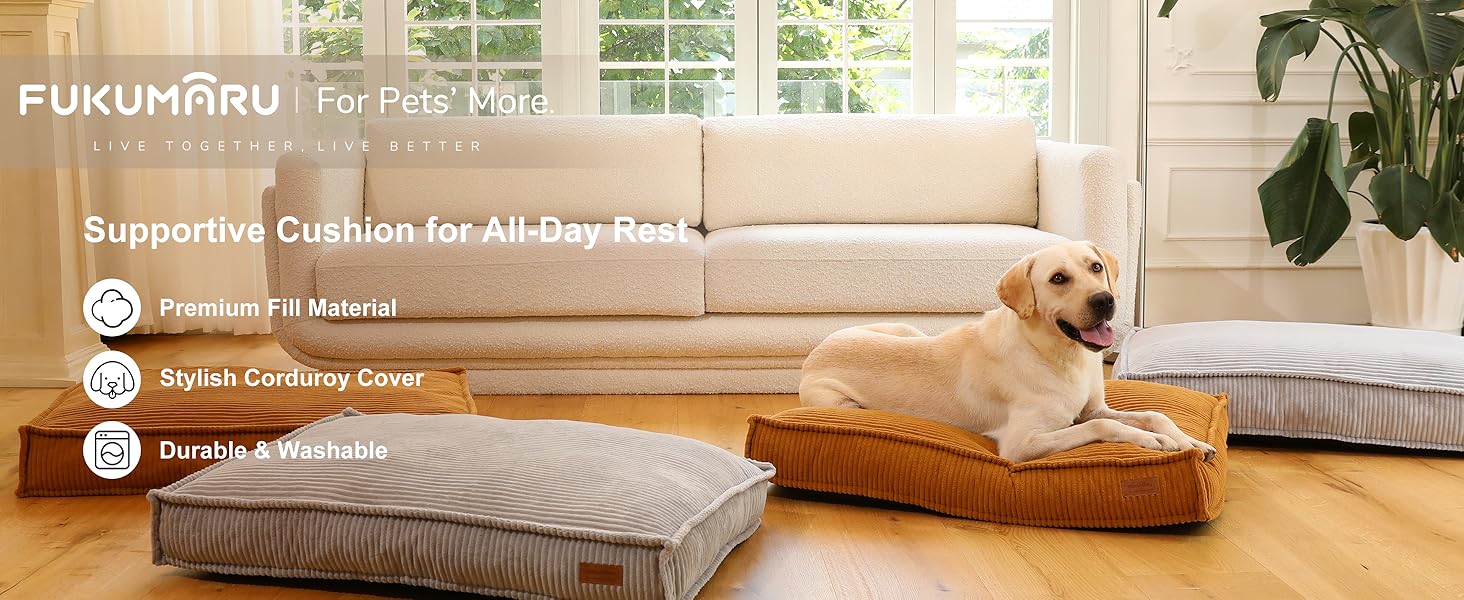 dog bed