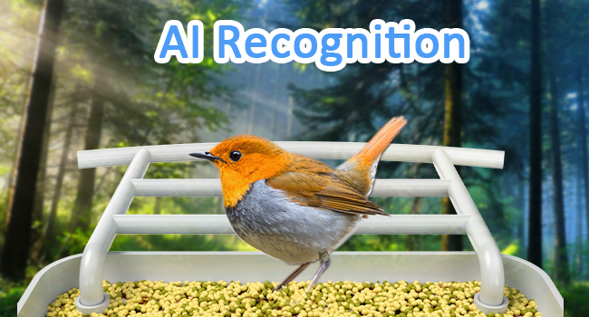 AI Recognition