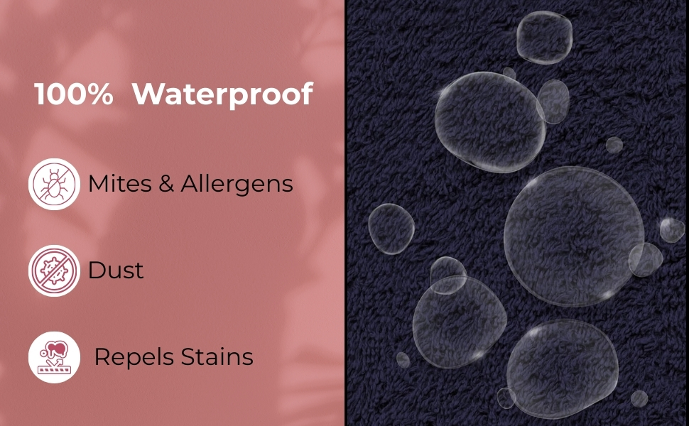 Allergy Protection