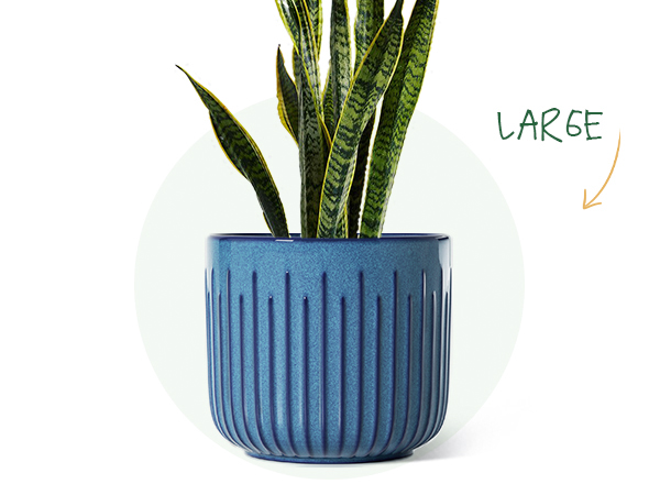 Amazon.com : LE TAUCI Fluted Ceramic Planters Set of 3 – 8.3