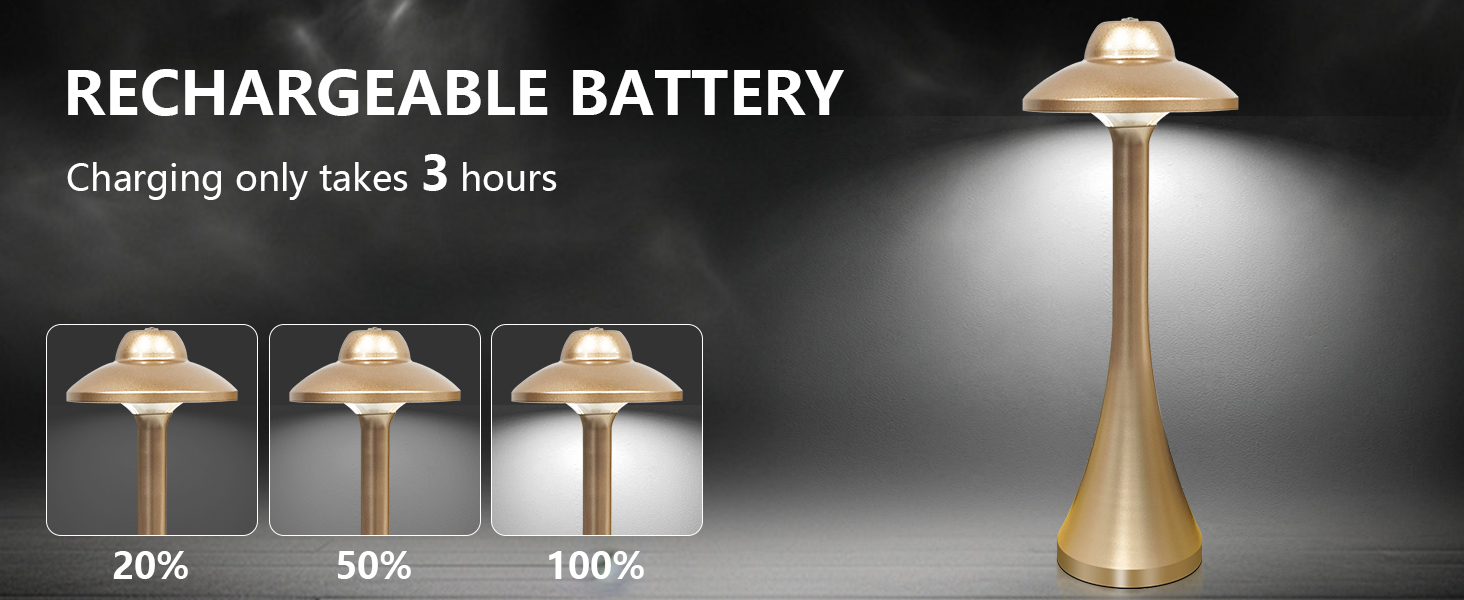 Portable LED Table Lamp
