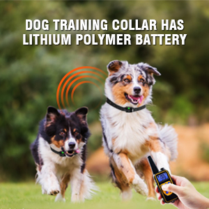 Dog training collar