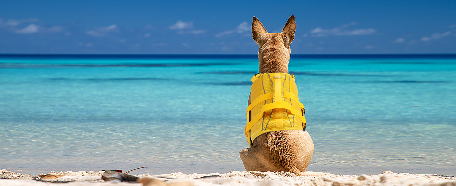 Dog Life Jacket