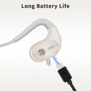 Bluetooth Headset with Removable Microphone