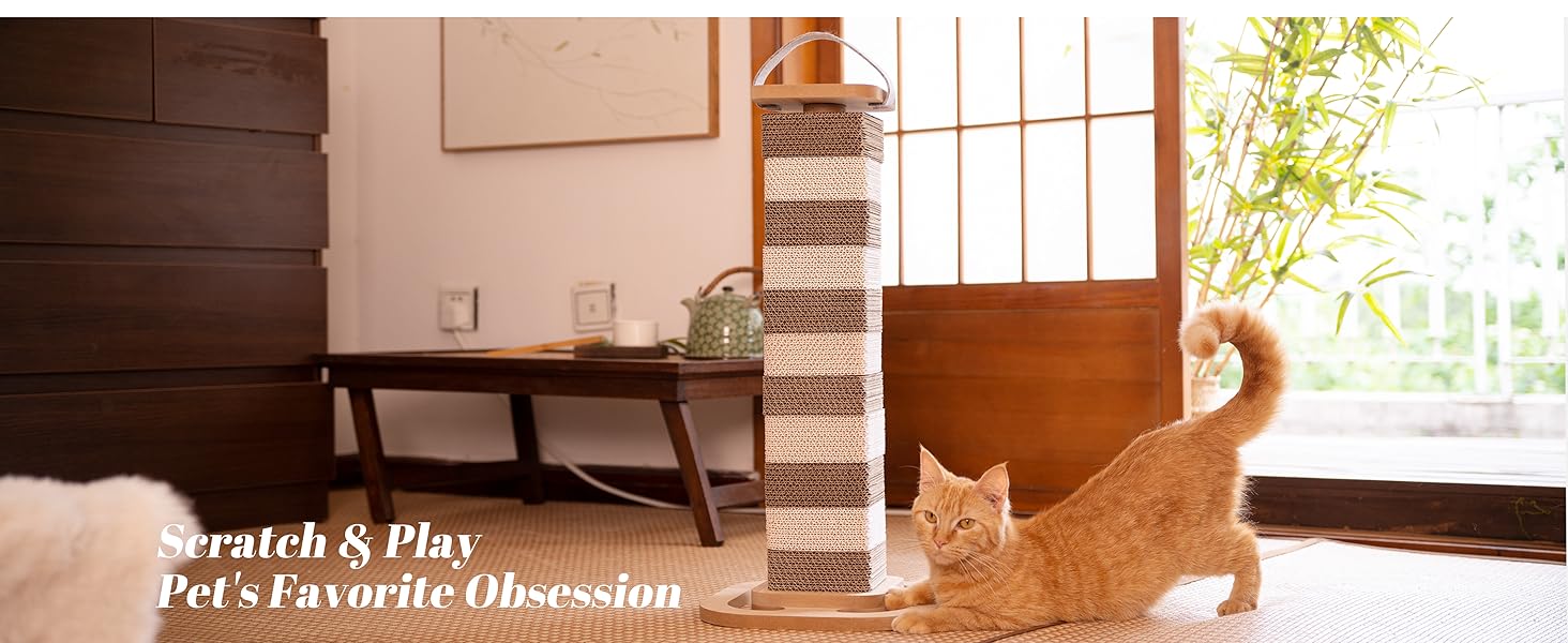 cat scratching post