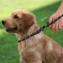 Amrules Dog Training Leash Black 220x220-4
