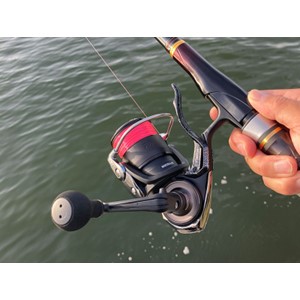 Amazon | ダイワ(DAIWA) 磯LBリール 25銀狼LBQD | ダイワ(DAIWA