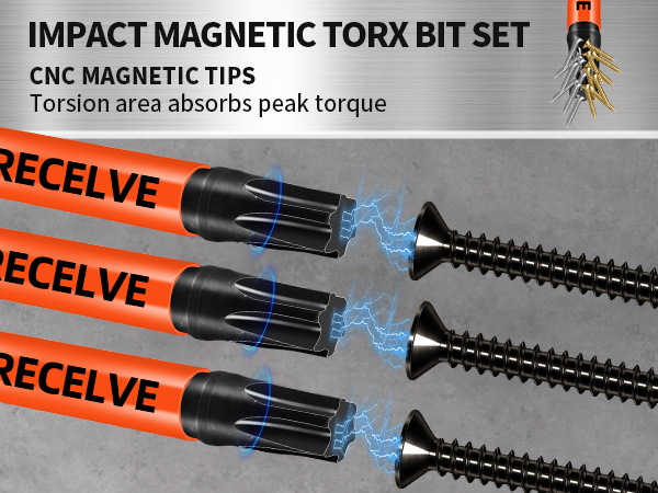 Wewtool T2 ダークグレー T25 Torx Bits(10-Pack 2 Inch), 1/4 Inch Hex Shank S2 Steel