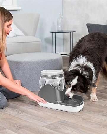 Automatic Pet Water Dispenser